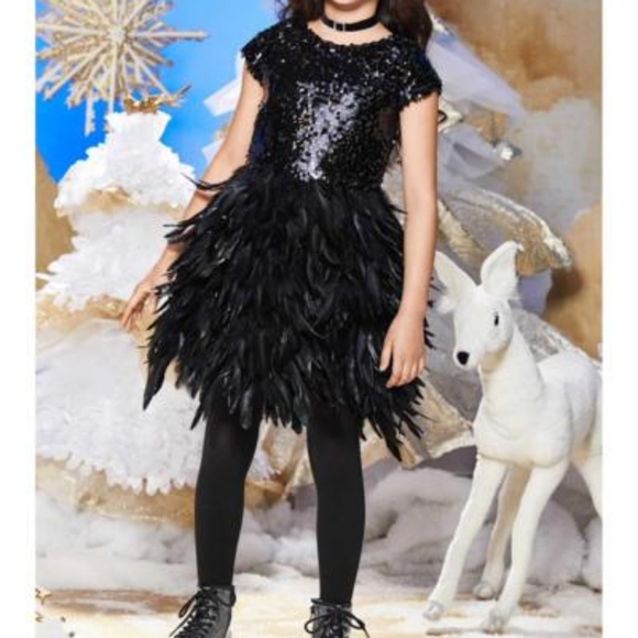 Chasing Fireflies Other - 😍NWOT! Chasing fireflies black feather dress 7